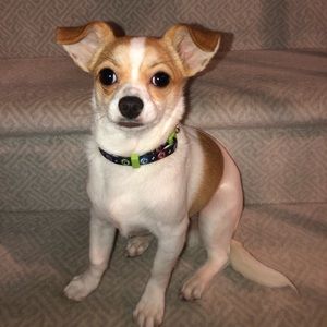 Meet your Posher, Isabel